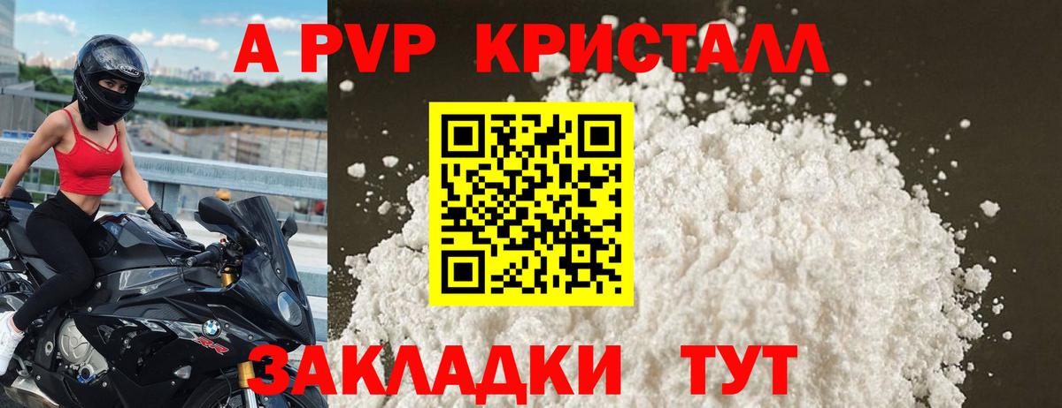 Альфа ПВП СК КРИС Великий Новгород