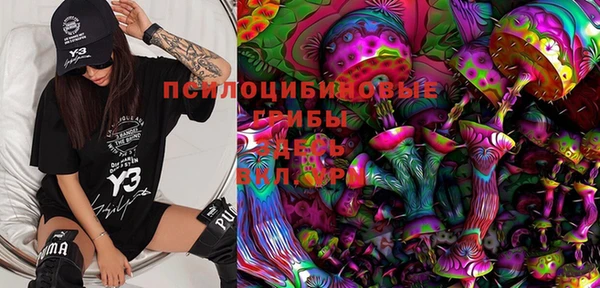 PSILOCYBIN Надым