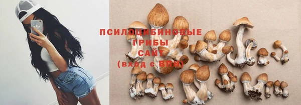 PSILOCYBIN Надым