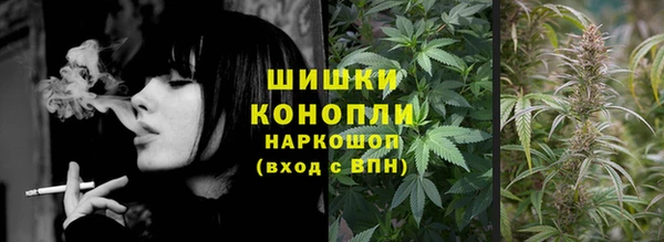 PSILOCYBIN Надым